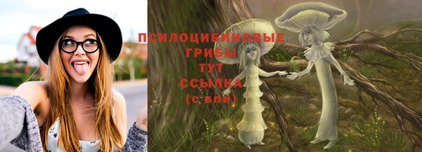 дживик Тихвин