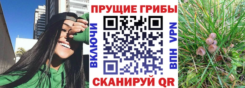 Галлюциногенные грибы мицелий Медвежьегорск