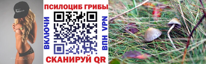 Галлюциногенные грибы Psilocybe  наркота  Медвежьегорск 
